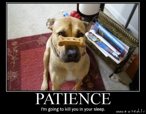 Patience