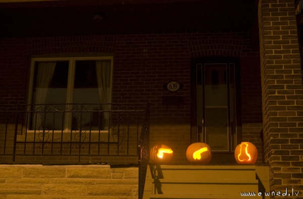 Halloween carved pumpkins