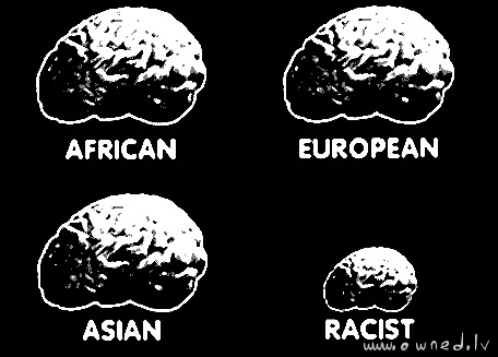 Human brain size