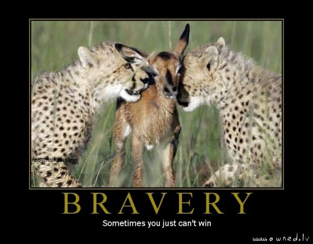 Bravery