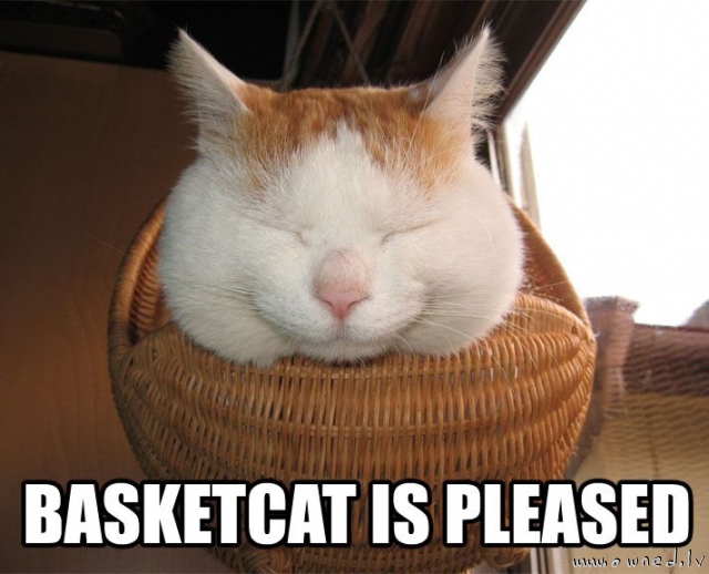 Basketcat is pleased