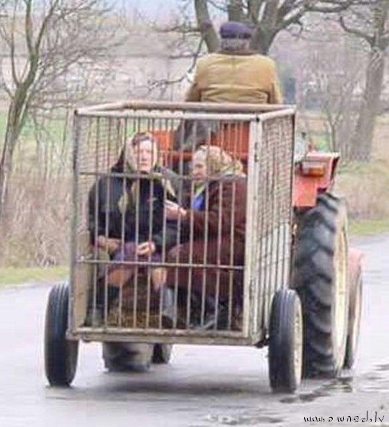 Local transport