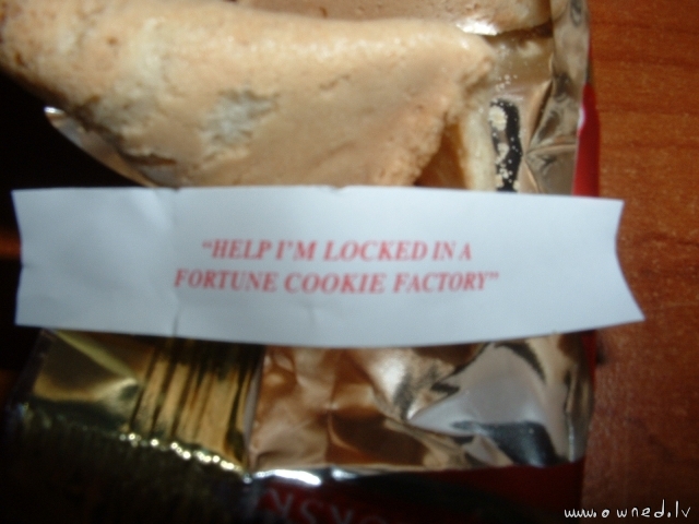Help Im locked in a fortune cookie factory