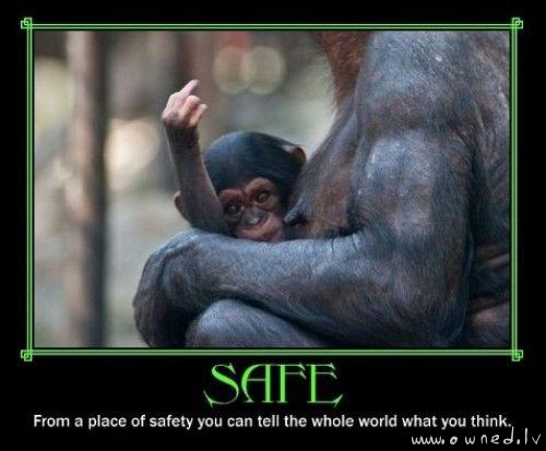 Safe