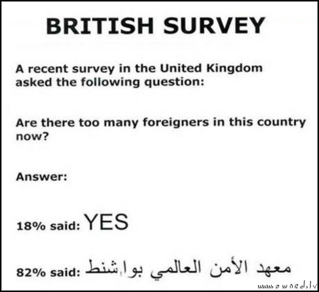 British survey
