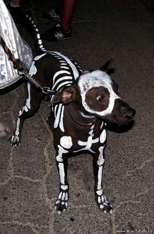 Halloween costume