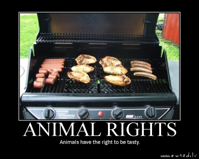 Animal rights