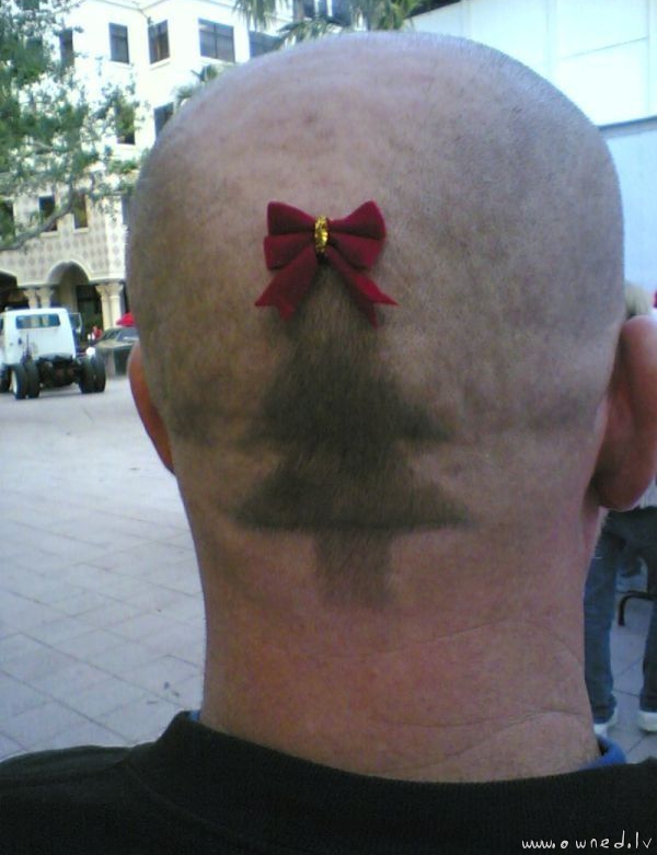 Nice haircut