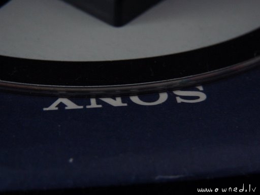 Anus