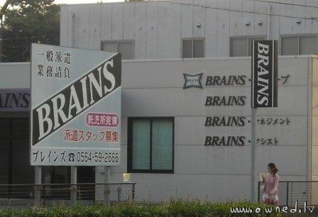 Brains