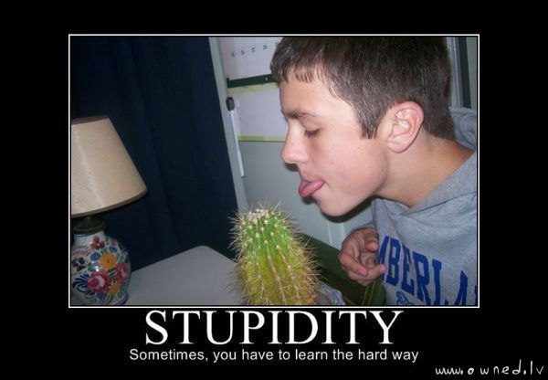 Stupidity