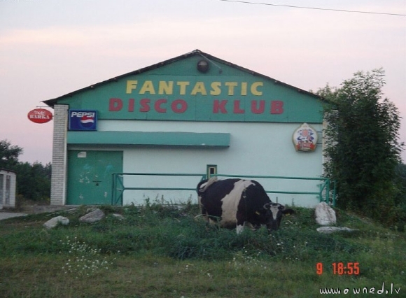 Fantastic disco club