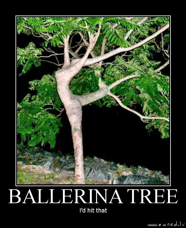 Ballerina tree