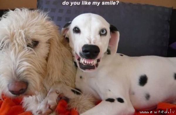 Do you like my smile ?