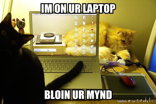 I am in your laptop