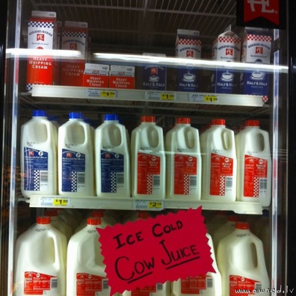 Cow juice