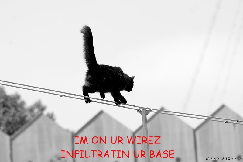 Im on ur wirez