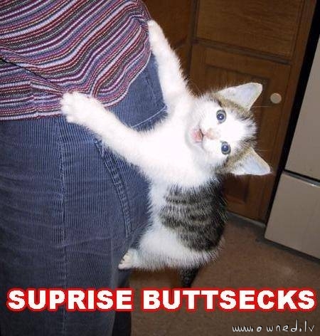 Buttsecks