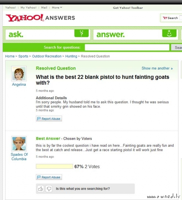 Hunting fainting goats