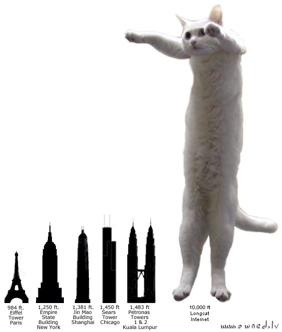 Longcat from The Internet