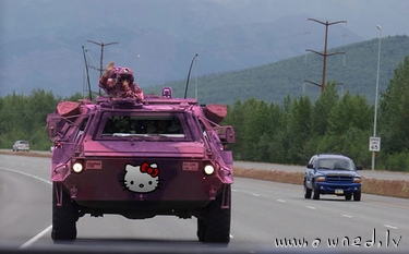 Pink hello kitty APC