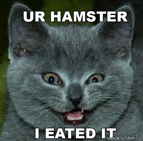 Your hamster ... I eated it
