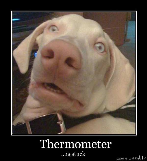 Thermometer