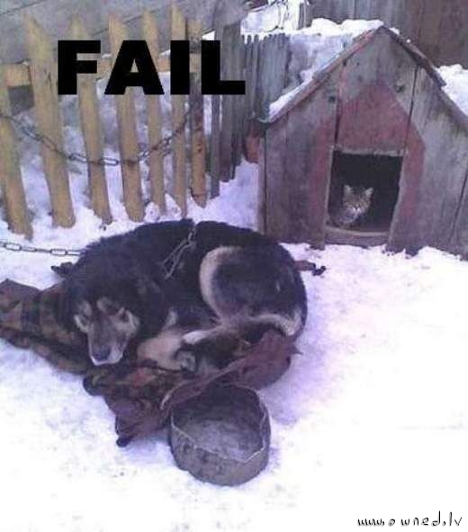 Fail