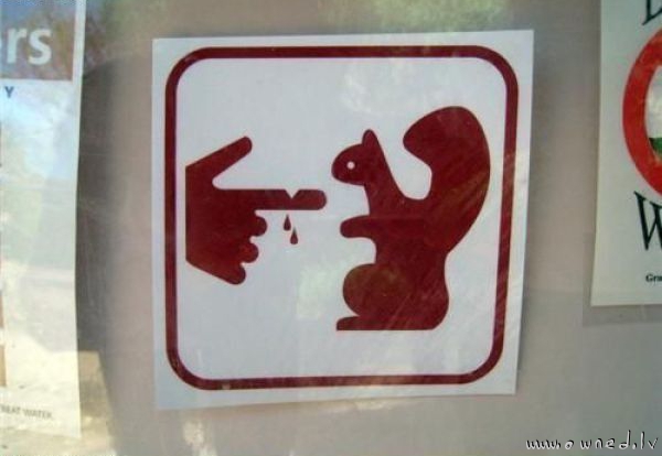 Dont touch squirrels
