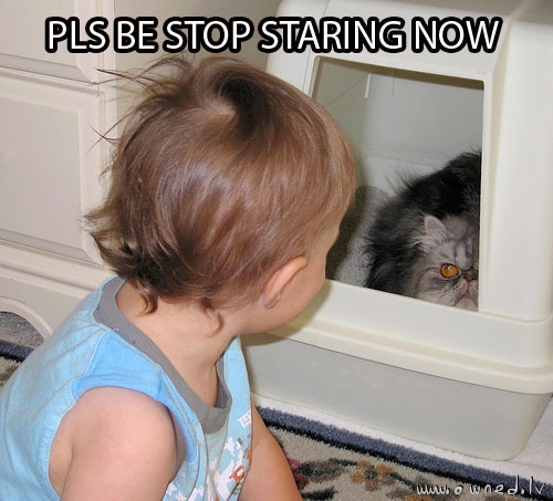 Stop staring now