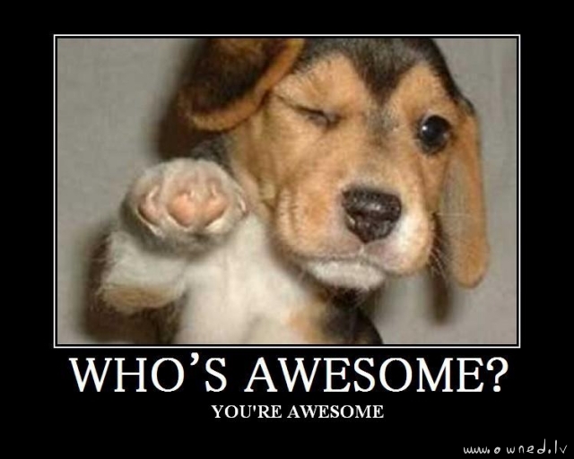 Who is awesome ?
