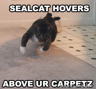 Sealcat