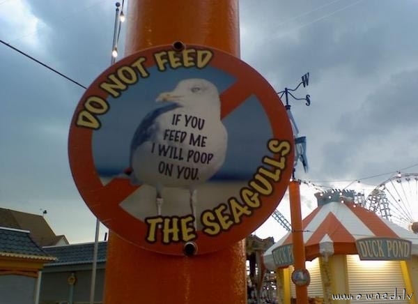 Do not feed the seagulls