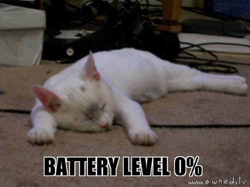 Battery level zero