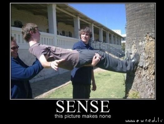 Sense