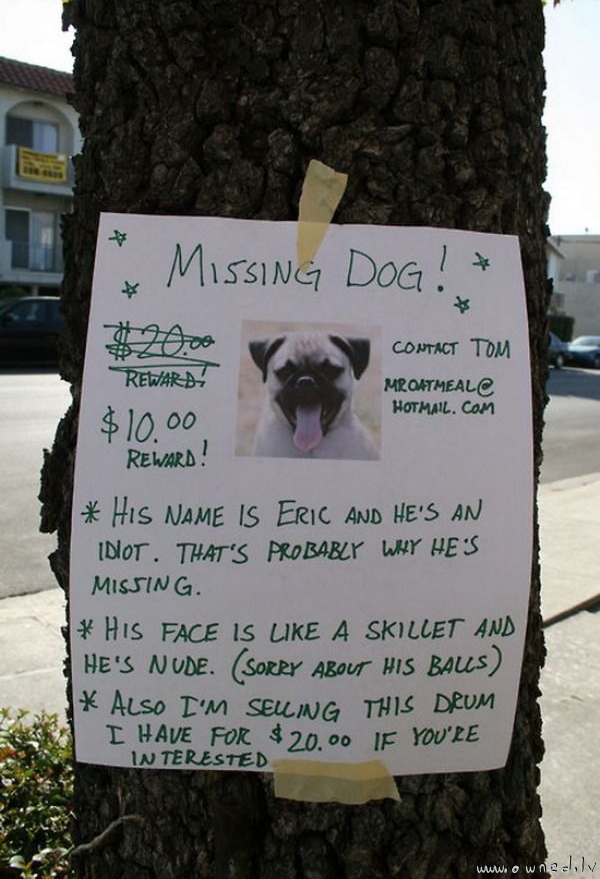 Missing dog