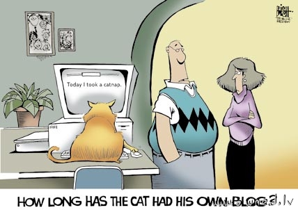 How long has the cat had his own blog ?