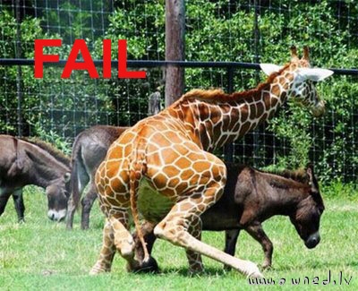 Fail