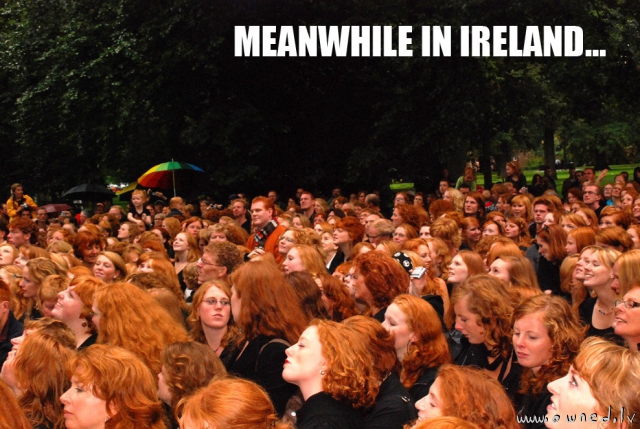 Meanwhile in Ireland