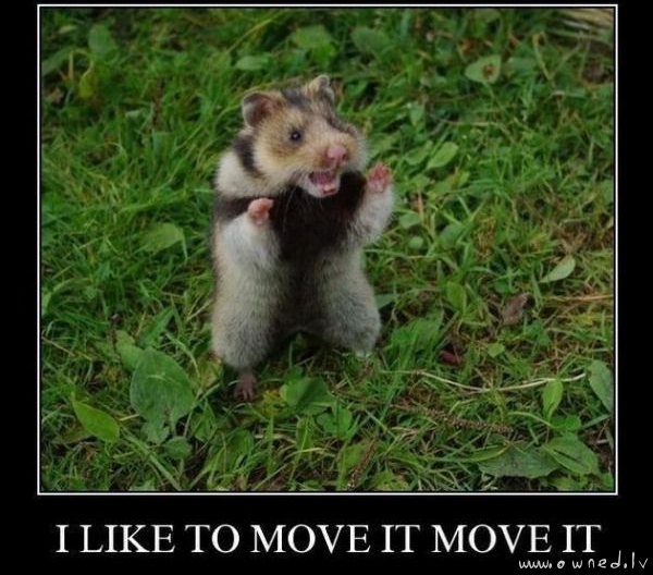 I like to move it move it