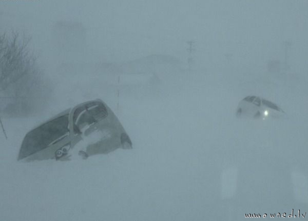 Snowed in