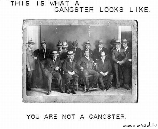 Real gangster