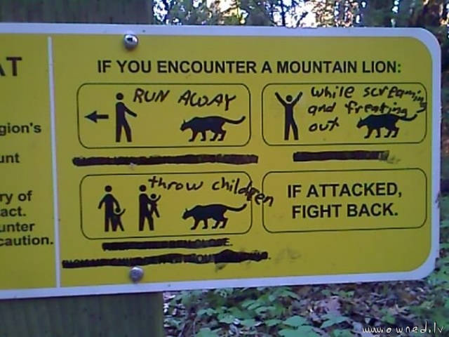 What to do if you encounter a mountain lion
