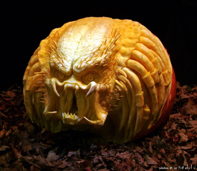 Predator pumpkin