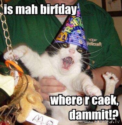 Where is my cake ?