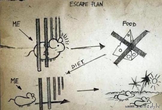 Escape plan