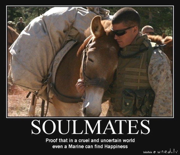 Soulmates