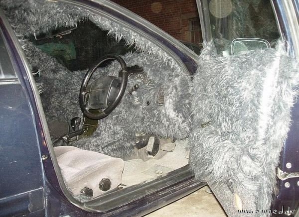 Furry car