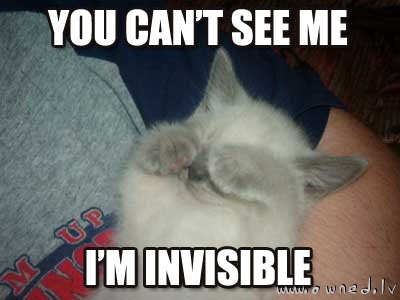 You can't see me