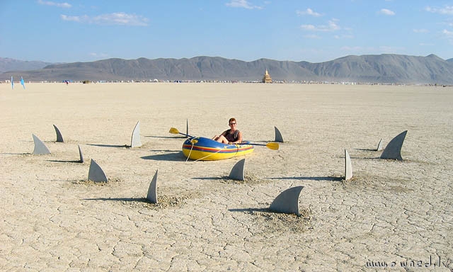 Sharks in the desert